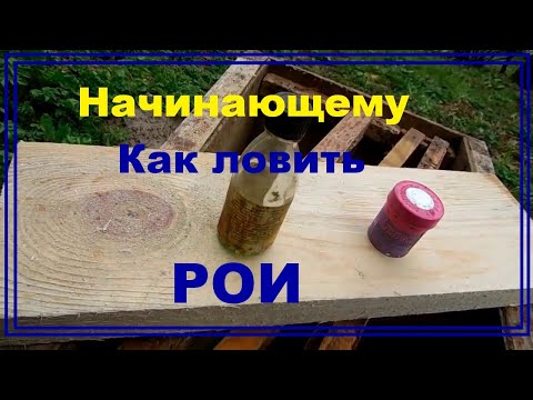 Видео: Начинающему пчеловоду как ловить рои