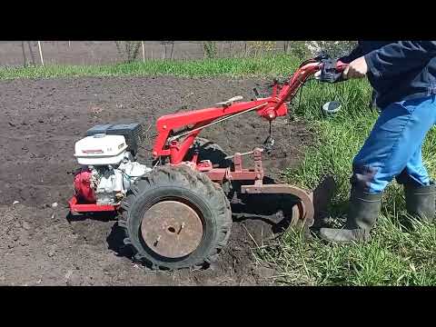 Видео: Пробная посадка картошки под плуг.