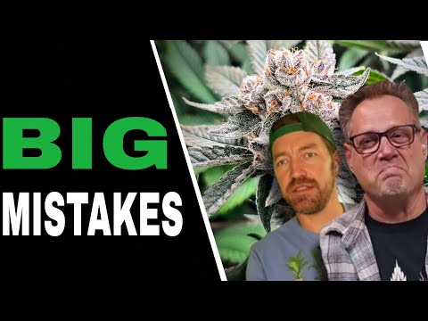 Видео: Не совершайте эти 3 ошибки новичков при выращивании каннабиса