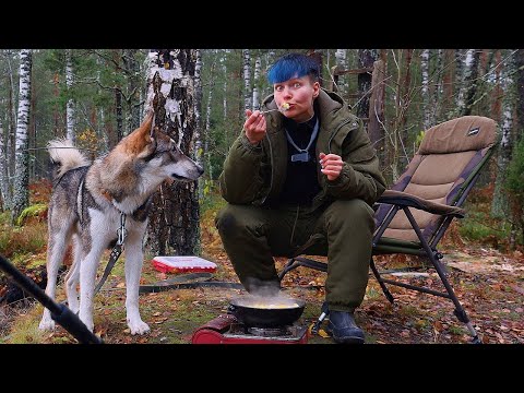 Видео: Осенью ЗА НАЛИМОМ на закидушки С НОЧЁВКОЙ. Река Нёман #539