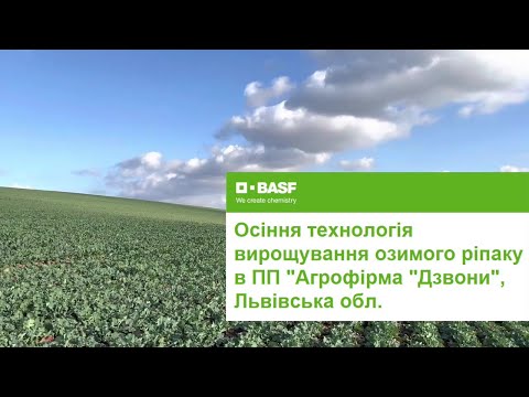 Видео: Осіння технологія вирощування озимого ріпаку в ПП «Агрофірма «Дзвони»», Львівська область