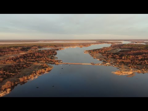 Видео: РЫБАЛКА НА РЕКЕ. ЛОВЛЯ НА ДОНКИ НАЛИМА И БЕЛУЮ РЫБУ.