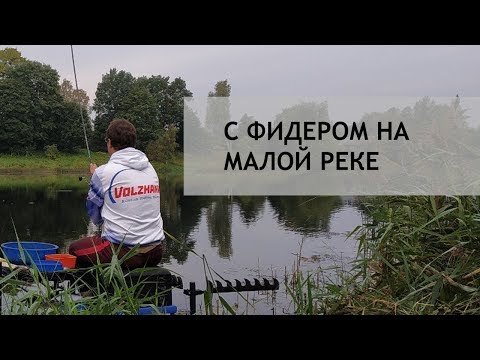 Видео: С фидером на малой реке