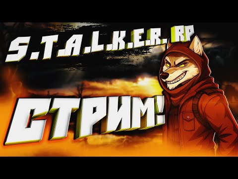 Видео: ❤️STALKER RP с вебкой!)❤️Mysterious Zone с РЕШЕЙДОМ! Любители Day Z и СТАЛКЕРА тоже заходите)❤️