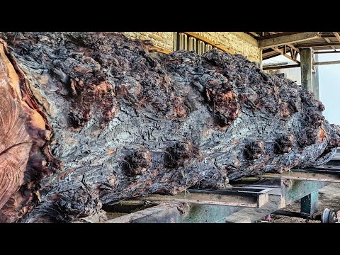 Видео: Лесопилка для бревен монстров страшная, полная красоты