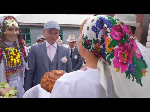 Видео: Марий сӱан.