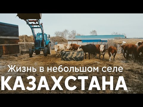Видео: Наш день в селе. Речка в Атбасаре: экскаваторы накопали, земля растёт горами! #жизньвказахстане