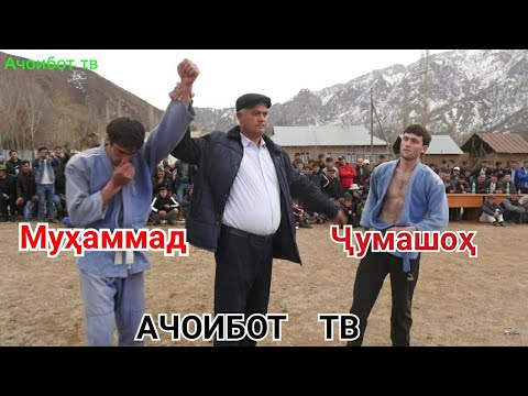 Видео: Гуштин  дар  н.Сангвор  ч.Чилдара