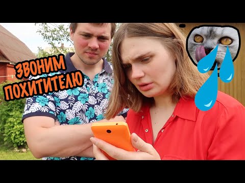 Видео: КОТА КЕВИНА И ДРУГИХ ПОХИТИЛИ | МЫ В ПАНИКЕ!