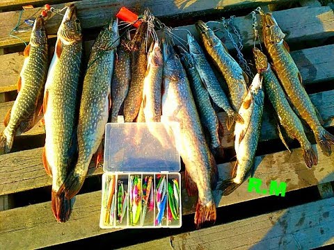 Видео: Fishing  Веселовское водохранилище .  апрель 2018 Балка № 1  Начало поиска хищника моими приманками