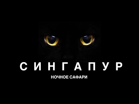 Видео: СИНГАПУР / НОЧНОЕ САФАРИ - НЕДОСТАТОЧНО ВЕРНУТЬСЯ   [11 часть]