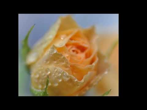Видео: Пошлите любовь ребенку. Клаус Джоул