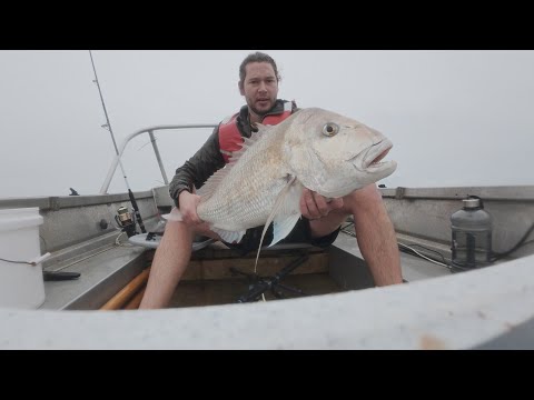 Видео: Ловля огромного 20-фунтового люциана во время опасного шторма — НОВЫЙ ПБ — Кайпара — ПОБЕРЕЖЬЕ ДИ...