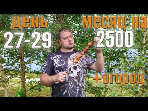 Видео: Месяц 2500 рублей на еду + огород. День 27-29