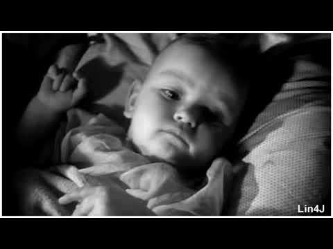 Видео: Небо засыпай (Птицы)