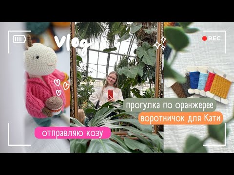 Видео: Влог | воротничок | Оранжерея | пряжа | чтиво | отправляю заказ | подбираю цвета для морячка