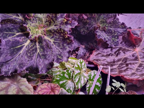 Видео: Приветствую, я почти вернулась)