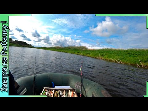 Видео: Щука / Раттлин и Зеленые берега пруда в Панинском районе Воронежа