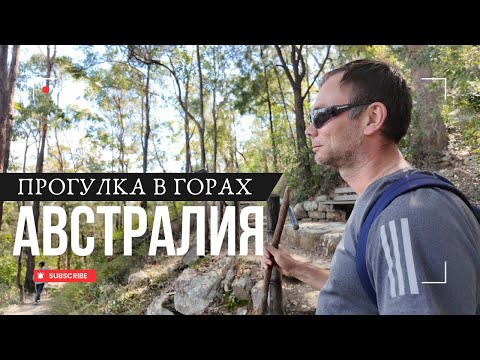 Видео: Лес и Горы АВСТРАЛИИ которые Нужно Увидеть | Жизнь в Австралия