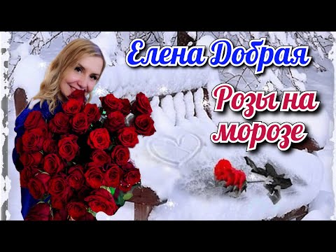 Видео: ПРЕМЬЕРА!!!! Елена Добрая - Розы на морозе!!! 🌹🌹🌹 Послушай, тебе понравится!!! 🥳   #музыка #musica
