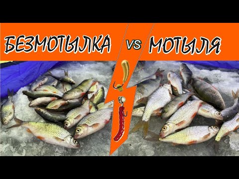 Видео: Безмотылка против мотыля. Ловля плотвы на безнасадочную мормышку и мормышку с мотылем зимой со льда.