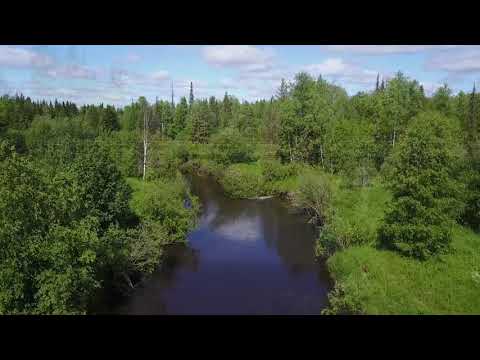 Видео: Деревня Канава, Северо-Екатерининский канал, речка Северная Кельтма.Дикая природа этих мест.