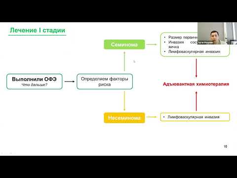Видео: Академия RUSSCO для подготовки к экзамену ESMO: Герминогенные опухоли (вебинар 27 июля 2025)