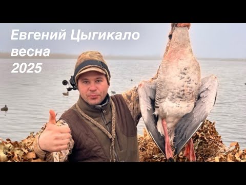 Видео: Стрим: Весенняя охота с Евгением Цыгикало