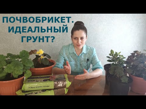 Видео: ПОЧВОБРИКЕТ. ИДЕАЛЬНЫЙ ГРУНТ?