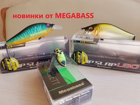 Видео: Воблер Megabass FLAP SLAP LBO и Megabass TINY SIGLETT