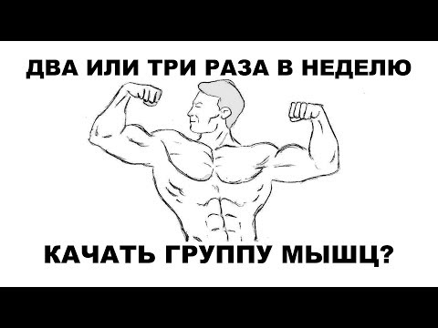Видео: ДВА ИЛИ ТРИ РАЗА В НЕДЕЛЮ КАЧАТЬ ОДНУ ГРУППУ МЫШЦ?