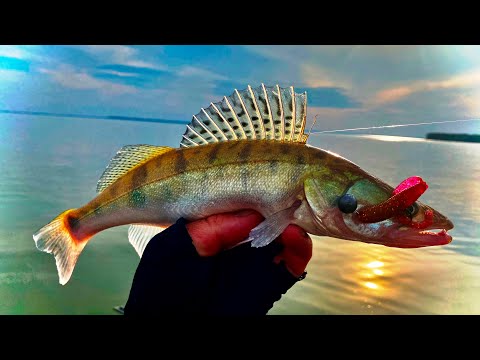 Видео: Поиски судака и окуня на водохранилище!