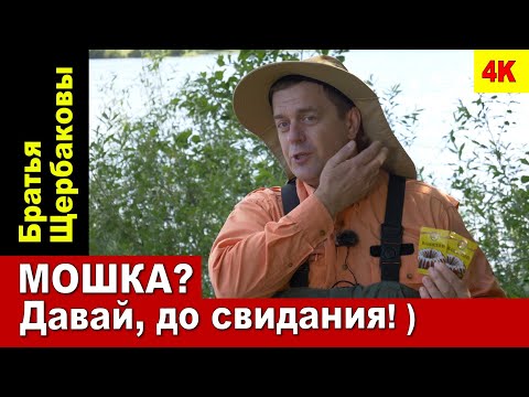 Видео: МОШКА Давай, до свидания! ) ЗАЩИТА ОТ МОШКИ...