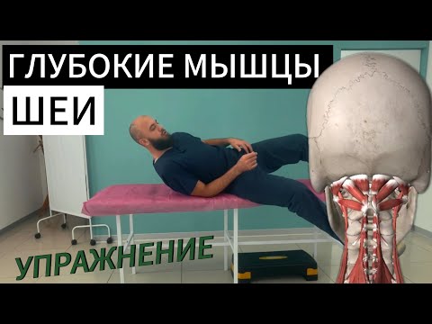 Видео: ГЛУБОКИЕ МЫШЦЫ ШЕИ . Упражнение которое поможет ! 