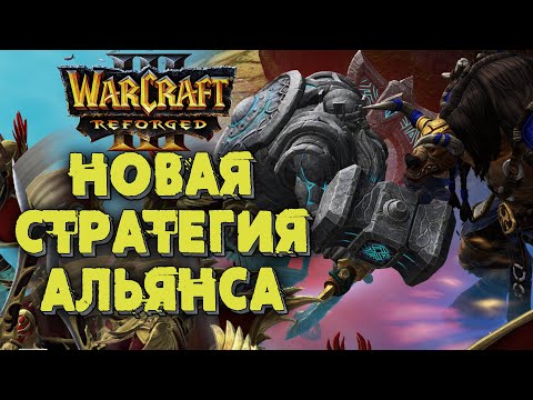 Видео: Новый дебют Альянса: Chaemiko (Hum) vs Lyn (Orc) Warcraft 3 Reforged