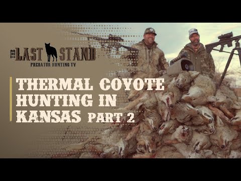 Видео: Тепловая охота на койотов! Канзас, часть 2 | Последний рубеж, сезон 4, серия 8