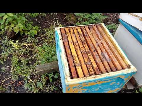 Видео: Про заставні дошки, холодні кармани в зиму, та інше...