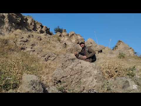 Видео: Дар шикор ҳодисаи аҷиб рӯх дод.