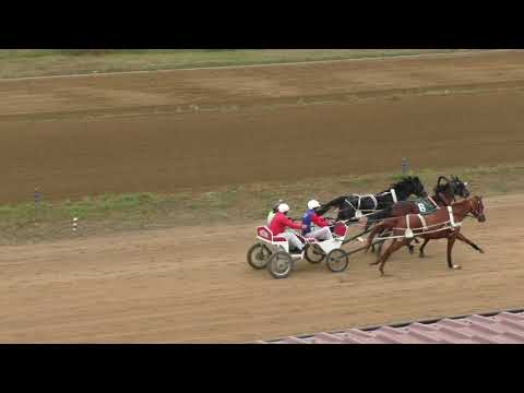 Видео: Русская тройка Палладий Архыз . Емельяновский ипподром 2021 сельские