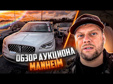 Видео: Выбираем luxury автомобили на аукционе Manheim (Atlanta)