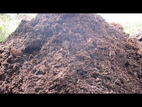 Видео: Что таке Чернозем, Перегной, Кампост.