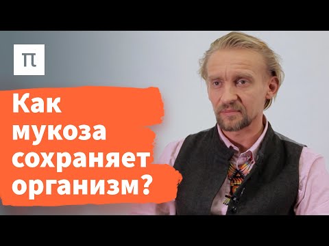 Видео: Микробы кишечника и здоровье — Дмитрий Алексеев / ПостНаука