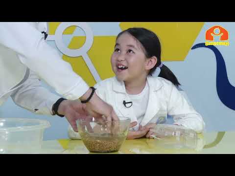 Видео: Жаз | Билесиңби?