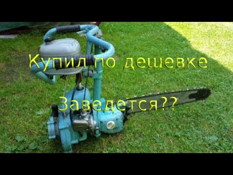 Видео: Бензопила ДРУЖБА. Купил по дешевке. Будет ли работать?