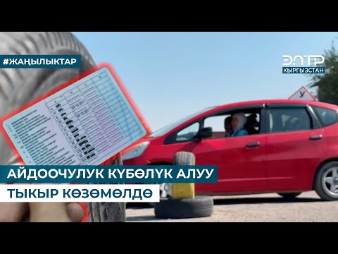 Видео: АЙДООЧУЛУК КҮБӨЛҮК АЛУУ ТЫКЫР КӨЗӨМӨЛДӨ