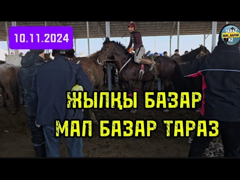 Видео: 10.11.2024 / ЖЫЛҚЫ БАЗАР / ТАРАЗ МАЛ БАЗАР