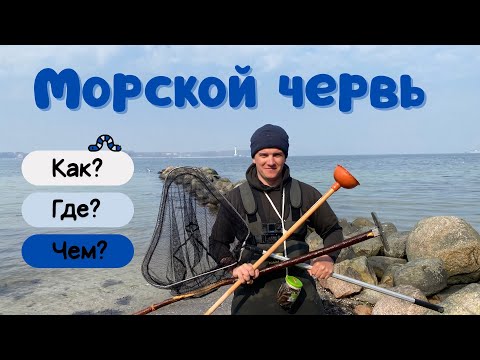 Видео: Морской червь: как, где, чем добывать? Полный разбор!