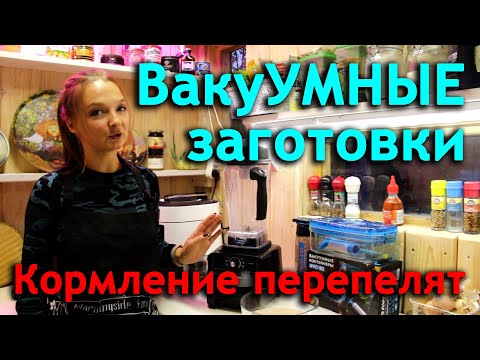 Видео: Простой способ кормления перепелят. Увеличиваем поголовье перепелов. Вакуумные заготовки для борща.