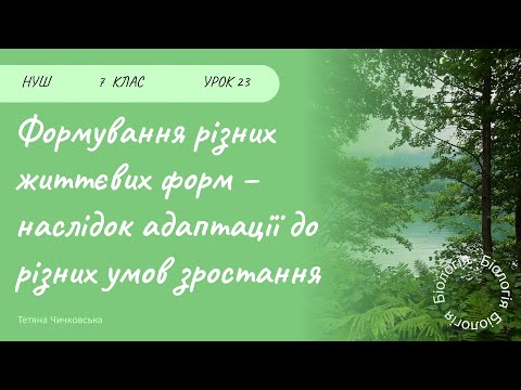 Видео: Формування різних життєвих форм у вищих рослин – наслідок адаптації до різних умов зростання