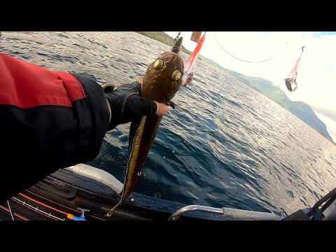 Видео: Что может удержать рыбака дома? ОТВЕТ - НИЧТО!!!